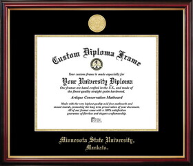 Campus Images MN997PMGED-1185 Minnesota State Petite Diploma Frame