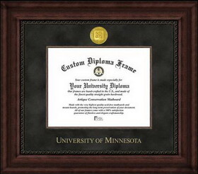 Campus Images MN999EXM University of Minnesota Executive Diploma Frame
