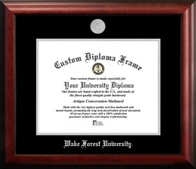 Campus Images NC991SED-1411 Wake Forest University 14w x 11h Silver Embossed Diploma Frame