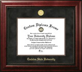 Campus Images TX968EXM-1411 Tarleton State University 14w x 11h Executive Diploma Frame