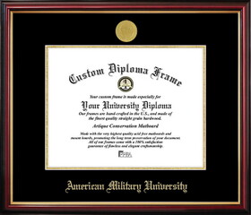 Campus Images WV899PMGED-1411 American Military University Petite Diploma Frame