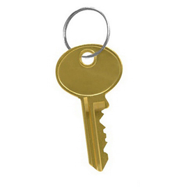 Salsbury Industries 19991 Master Control Key - for Master Keyed Lock of Cell Phone Storage Locker