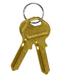 Salsbury Industries 22299 Key Blanks - for Built-in Key Locks of Designer Wood Lockers - Box of (50)