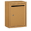 Salsbury Industries 2240BP Letter Box (Includes Commercial Lock) - Standard - Surface Mounted - Brass - Private Access