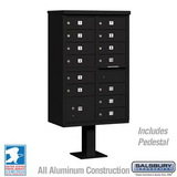 Salsbury Industries Cluster Box Unit with 13 Doors and 1 Parcel Locker with USPS Access - Type IV