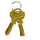 Salsbury Industries 33399 Key Blanks - for Built-in Key Locks of Designer Wood Lockers - Box of (50), Price/BOX