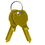 Salsbury Industries 3399 Key Blanks - for Standard Locks of Cluster Box Units - Box of (50), Price/BOX