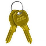 Salsbury Industries 3599 Key Blanks - for Standard Locks of Vertical Mailboxes - Box of (50)