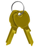 Salsbury Industries 3799 Key Blanks - for Standard Locks of 4C Horizontal Mailboxes - Box of (50)