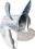 Turning Point Propellers 31501731 14.5X17 Stainless Steel 4 Blade Right Hand PROP EXPRESS Mach4