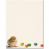 The Image Shop OLH246-25 Easter Chick Letterhead, 25 pack