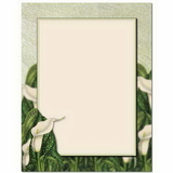 The Image Shop OLH909-25 Calla Lily Letterhead, 25 pack