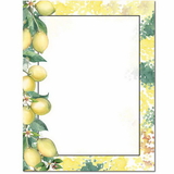 The Image Shop OLH924-25 Lemon Branch Letterhead, 25 pack