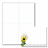 Sunflower Post Card, 100 pack