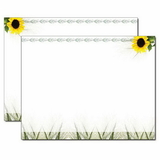 Sunflower Trifold Brochure, Blank Parchment Post Card, 65lb Cover