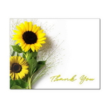 Sunflower Thank You Note Card, Blank Parchment Post Card, 65lb Cover