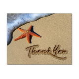 Starfish Thank You Note Card, Blank Parchment Post Card, 65lb Cover