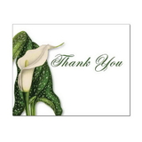 Calla Lily Thank You Card, Blank Parchment Post Card, 65lb Cover