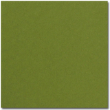 Pop-Tone Jellybean Green Cardstock - 250 Sheets/Pack