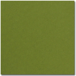 Pop-Tone Jellybean Green Cardstock - 50 Sheets/Pack