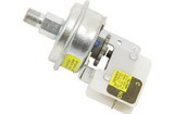 AO Smith 9006256015 Kit Low Gas Pressure Switch 100111033