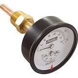 Raypak 007399F Temperature & Pressure Gauge Kit 0-200 PSI 50-250F 1/2
