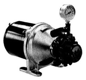 Webster SPM-15-1 Booster Pump & Motor Set 15 Gallon, 1/6 HP