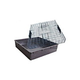 Red Rooster 71086 The Squirrelinator Catch Trap