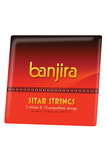Banjira BJSSTCT banjira Sitar Chikari and Sympathetic String Set