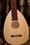 Roosebeck GLNVG Roosebeck Lute-Guitar, 6 String, Variegated, Gears