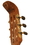 Roosebeck GLNVG Roosebeck Lute-Guitar, 6 String, Variegated, Gears