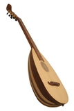 Roosebeck GLNVG Roosebeck Lute-Guitar, 6 String, Variegated, Gears