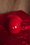DOBANI WESR DOBANI Wooden Egg Shakers - Pair - Red