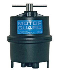 Motor Guard M-30 Sub-Micronic Air Filter, 1/4" Npt