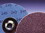 Norton 38150 80G 2" Speed-Lok Disc Metalite-Pk Of 100, Price/EACH