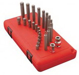 Sunex 9724 Ribe Bit Set 24Pc M4-M14