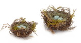 Melrose 58180DS Robin's Nest w/Eggs (Set of 12) 5