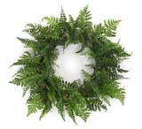 Melrose 66599DS Fern Wreath 24