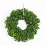 Melrose 72994DS Pine Wreath (Set of 6) 11.5