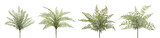 Melrose 74392DS Fern Bush (Set of 12) 16