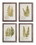 Melrose 74577DS Framed Fern Print (Set of 4) 17.75" x 23.5"H Wood/Glass