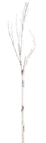 Melrose 76173DS Birch Branch (Set of 12) 83"H PVC