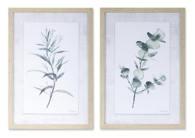 Melrose 78119DS Eucalyptus Print (Set of 2) 12.75" x 18.25"H Plastic/MDF