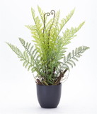 Melrose 78524DS Fern Potted (Set of 2) 11