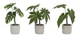 Melrose 78631DS Potted Foliage (Set of 6) 10