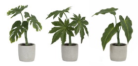 Melrose 78631DS Potted Foliage (Set of 6) 10"H, 10.5"H, 11.5"H Polyester/Plastic