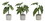 Melrose 78631DS Potted Foliage (Set of 6) 10"H, 10.5"H, 11.5"H Polyester/Plastic