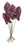 Melrose 82595DS Caladium Plant (Set of 2) 22.25"H Polyester