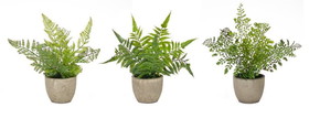 Melrose 82620DS Potted Fern (Set of 3) 9.5"H Plastic