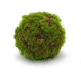 Melrose 82634DS Moss Ball (Set of 4) 4.75